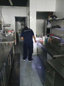 專業高效，安心無憂 西城遠洋風景小區家庭上門滅蟑螂服務詳解