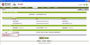 中國銀行網(wǎng)上支付用戶指南